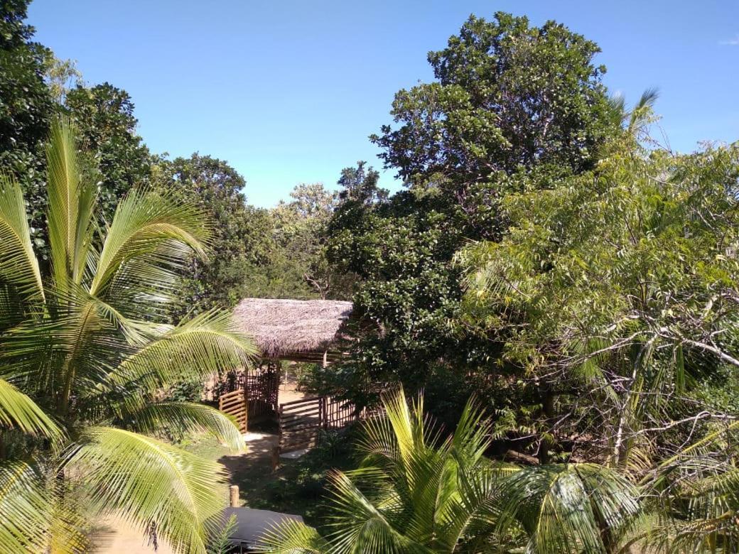 Home In The Island タンガラ エクステリア 写真