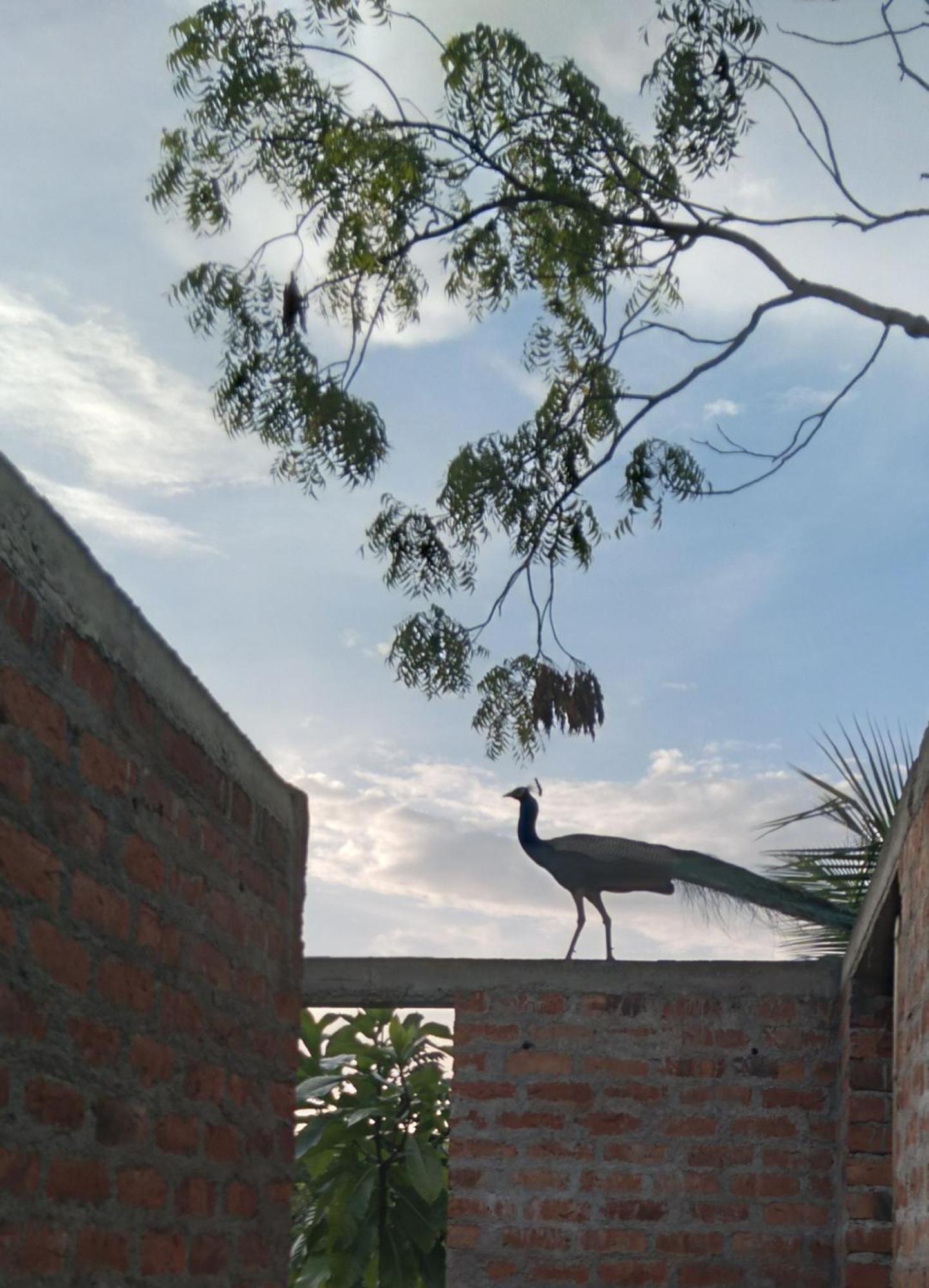 Home In The Island タンガラ エクステリア 写真