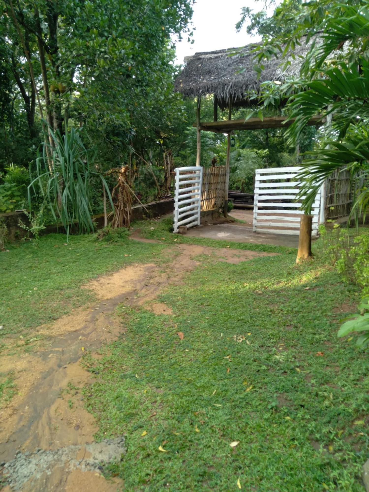 Home In The Island タンガラ エクステリア 写真