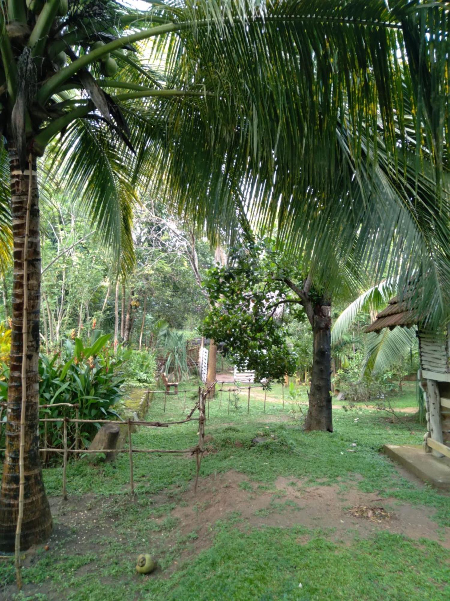 Home In The Island タンガラ エクステリア 写真